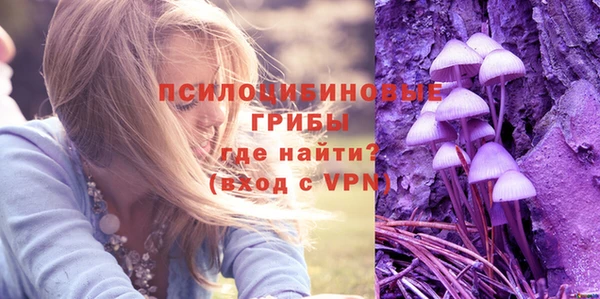 круглые Алзамай