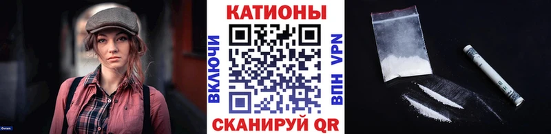 МЕФ  Дмитров