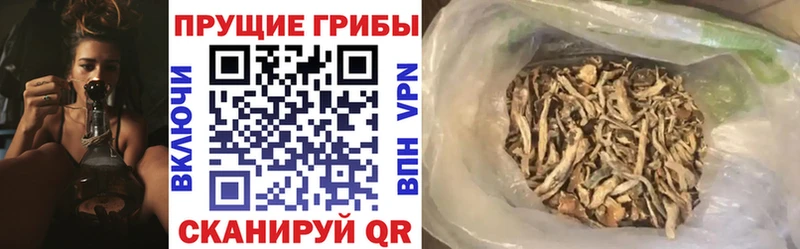 Галлюциногенные грибы мицелий  блэк спрут как войти  Дмитров  где продают наркотики 